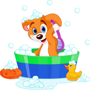 dog taking a bath after a dog grooming at cat diggity dog in hicksville ny
